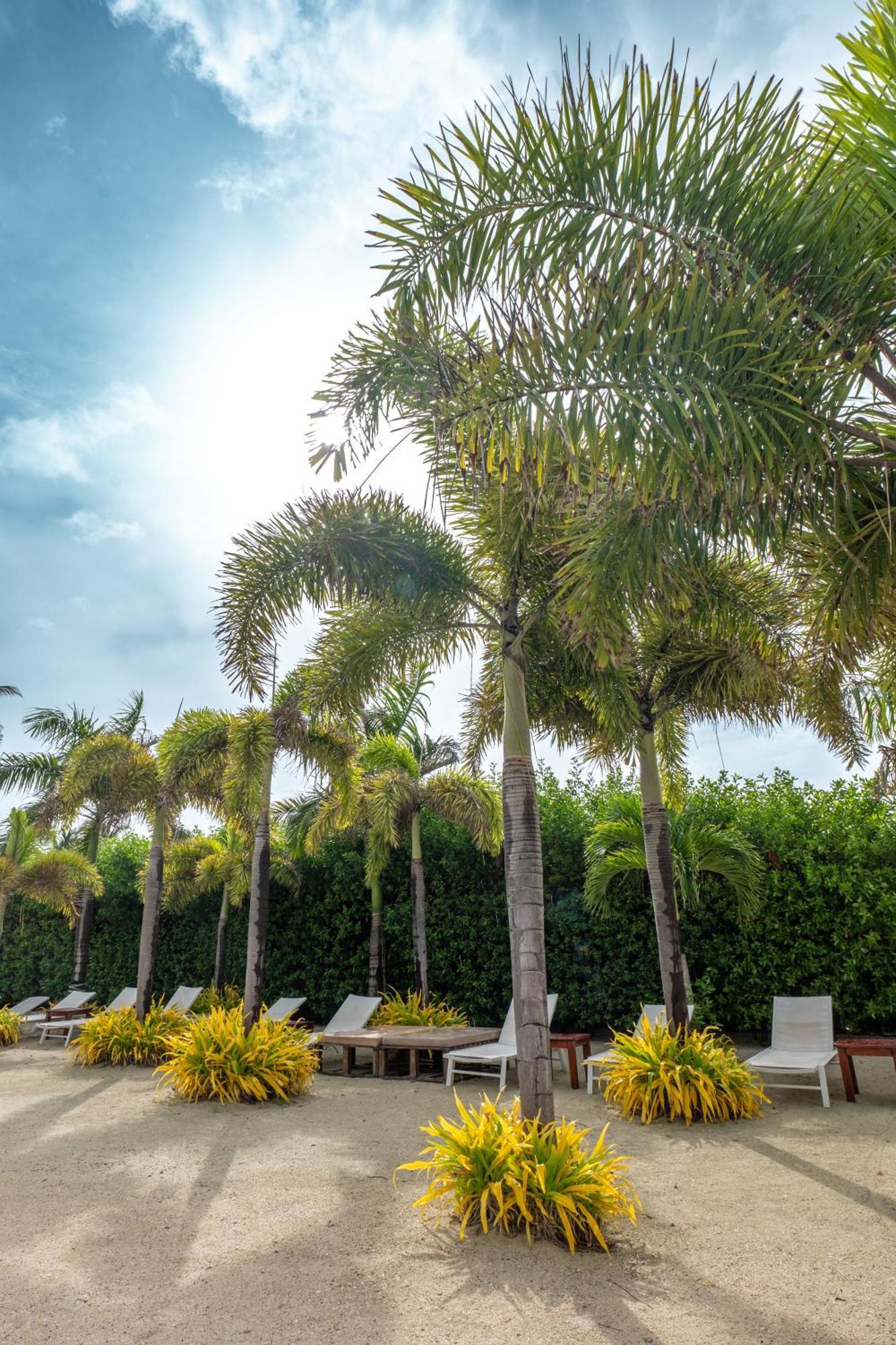 Hotel Arena Blanca By Dorado ซานอันเดรส ภายนอก รูปภาพ